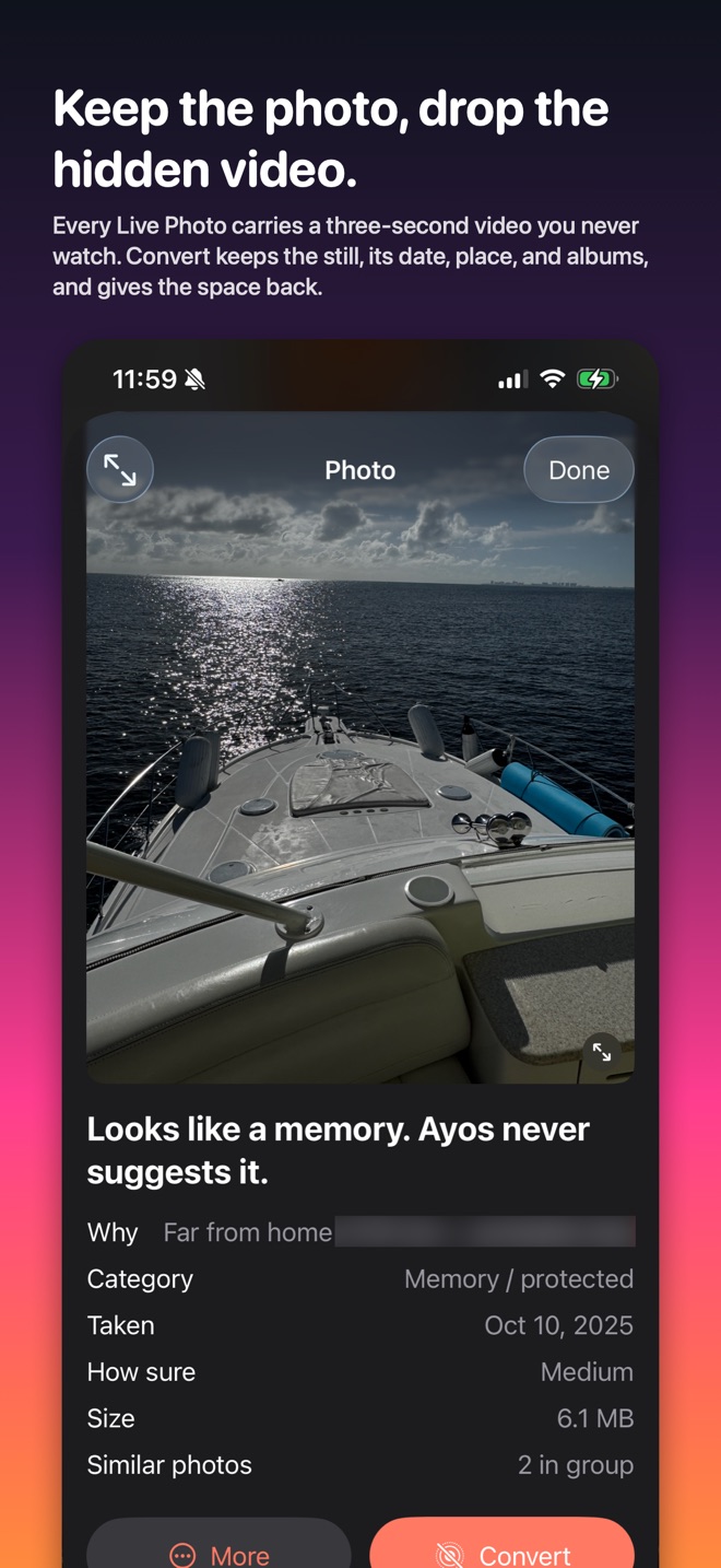 Ayos on iPhone, showing a Live Photo's details with a Convert button