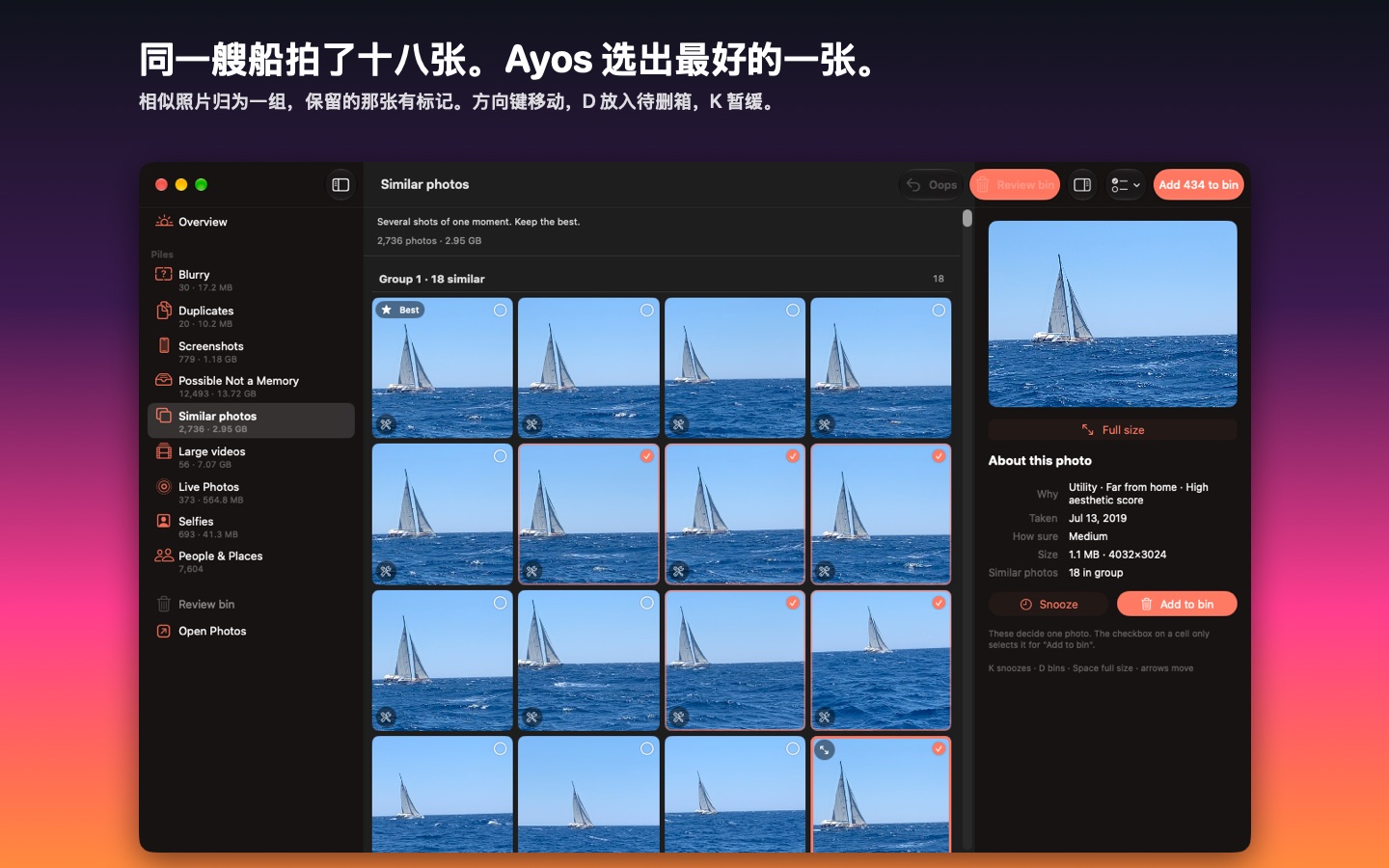 Mac 上的 Ayos：一组相似照片，旁边是这张照片的详细信息